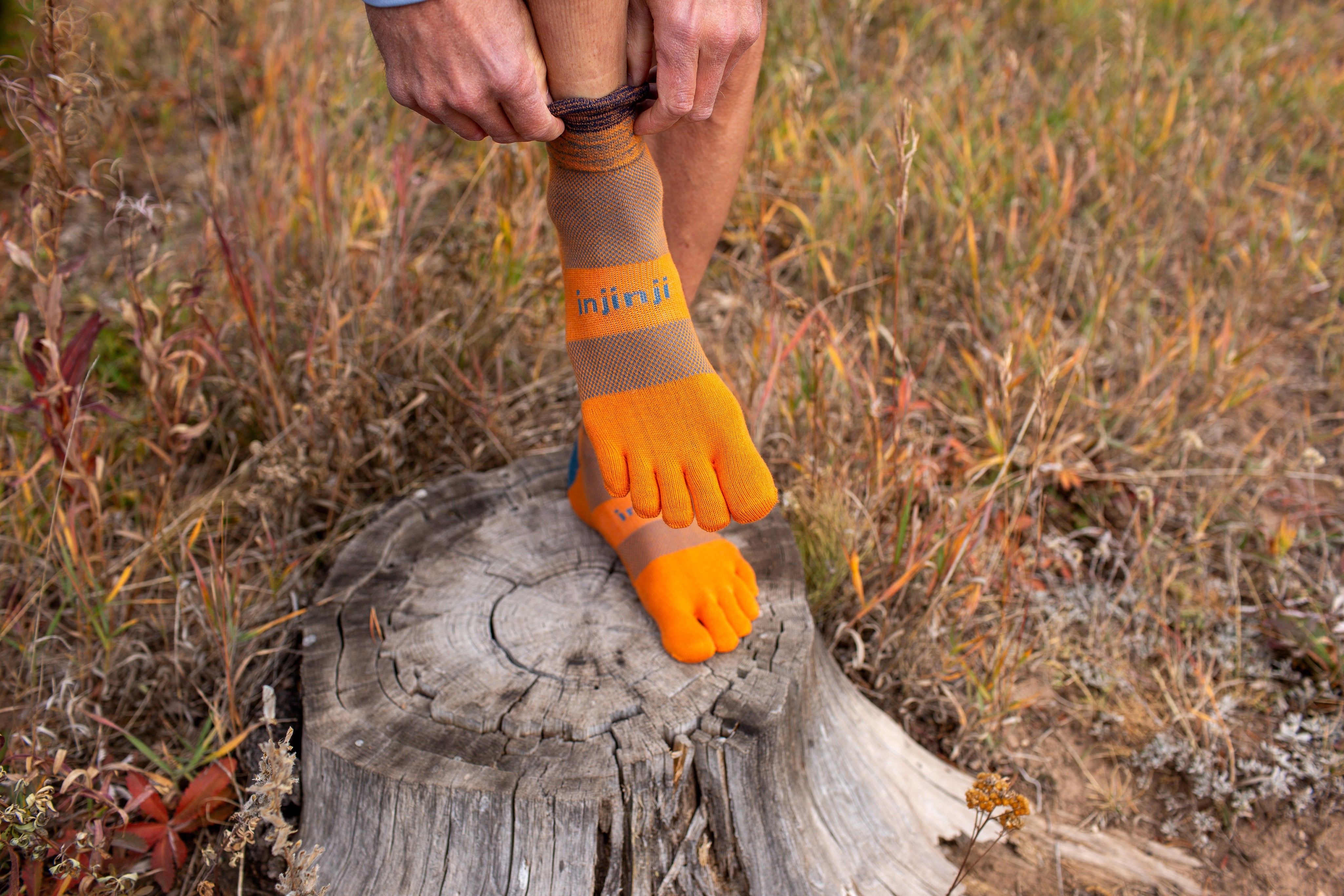TerraToes Trail Mini-Crew Toe Socks — Harvest